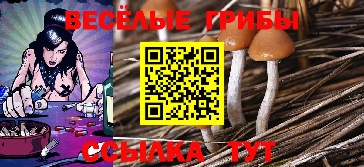 Галлюциногенные грибы ЛСД Шебекино