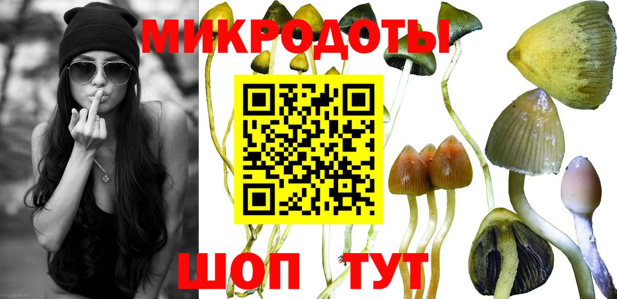 Галлюциногенные грибы ЛСД  Галлюциногенные грибы MAGIC MUSHROOMS  Шебекино  даркнет сайт  Вход с VPN 